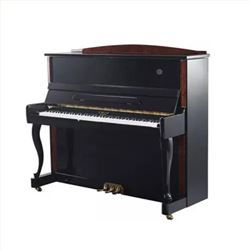 塞勒S123K-博兰斯勒S系列