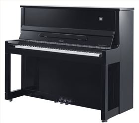 A5