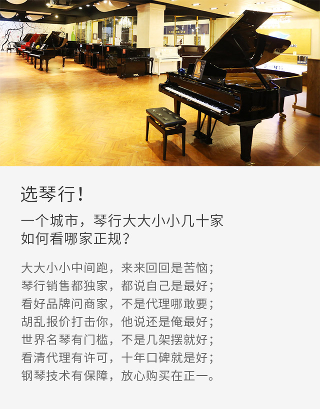 选琴行